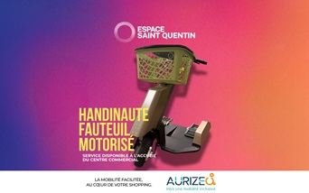 Mise à disposition du service Handinaute